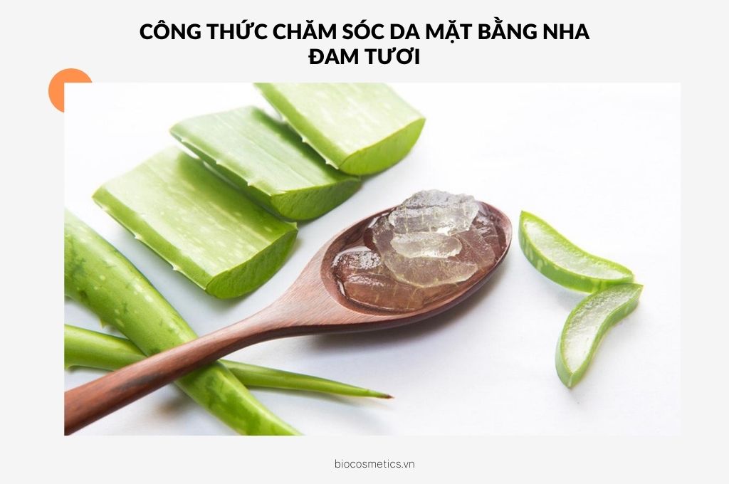 cong-thuc-cham-soc-da-mat-bang-nha-dam-tuoi