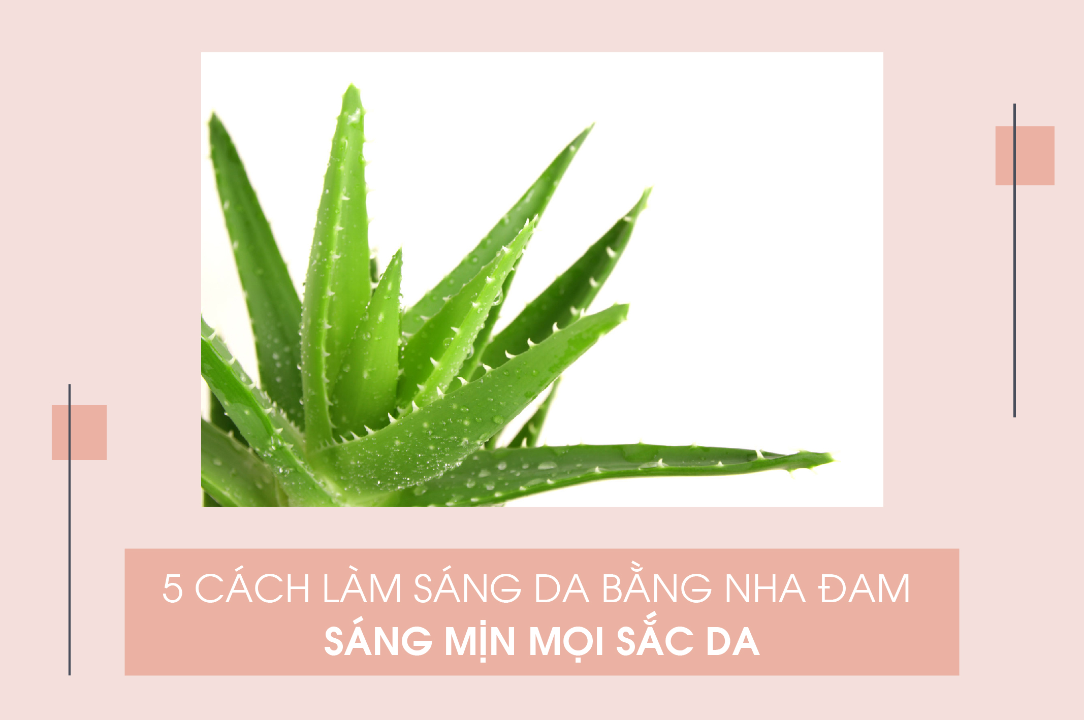 5-cach-lam-sang-da-bang-nha-dam-sang-min-moi-sac-da