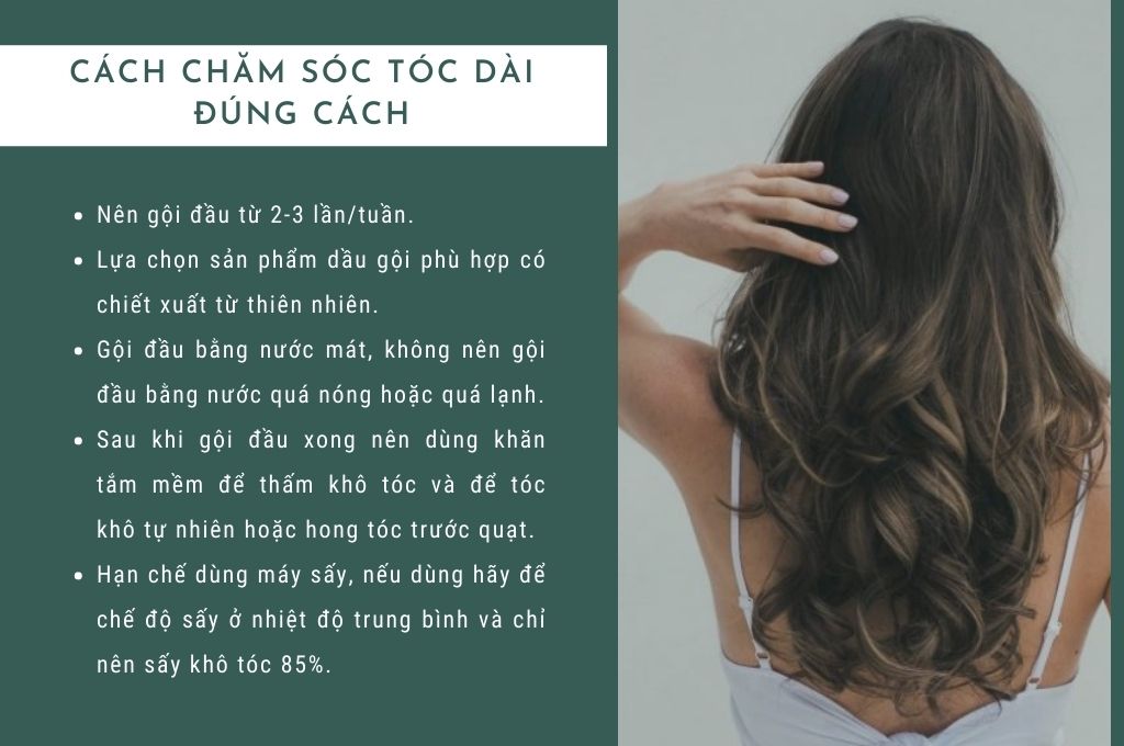 cach-cham-soc-toc-dai-dung-cach