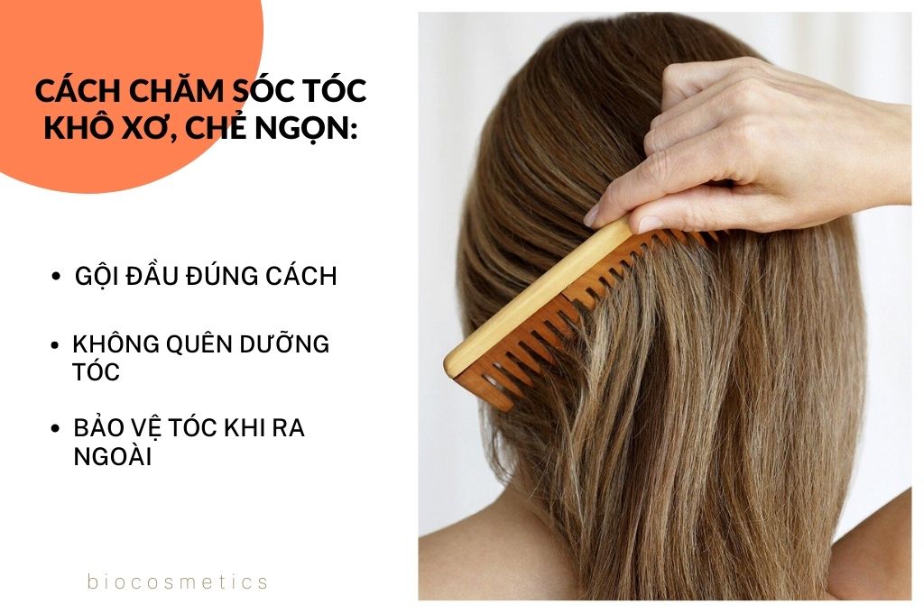 Bí quyết chăm sóc tóc khô xơ và chẻ ngọn hiệu quả tại nhà  Rungtocvn
