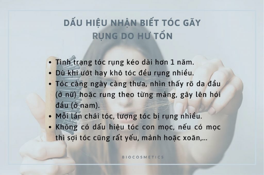 dau-hieu-nhan-biet-toc-gay-rung-do-hu-ton