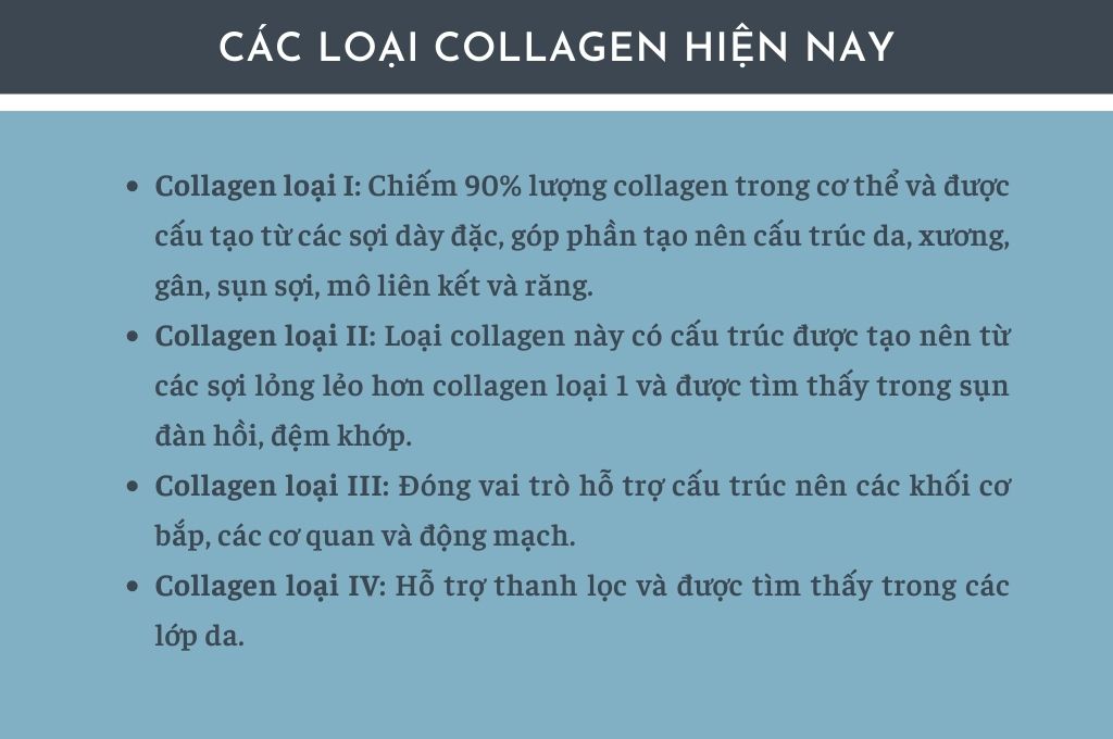 cac-loai-collagen-hien-nay