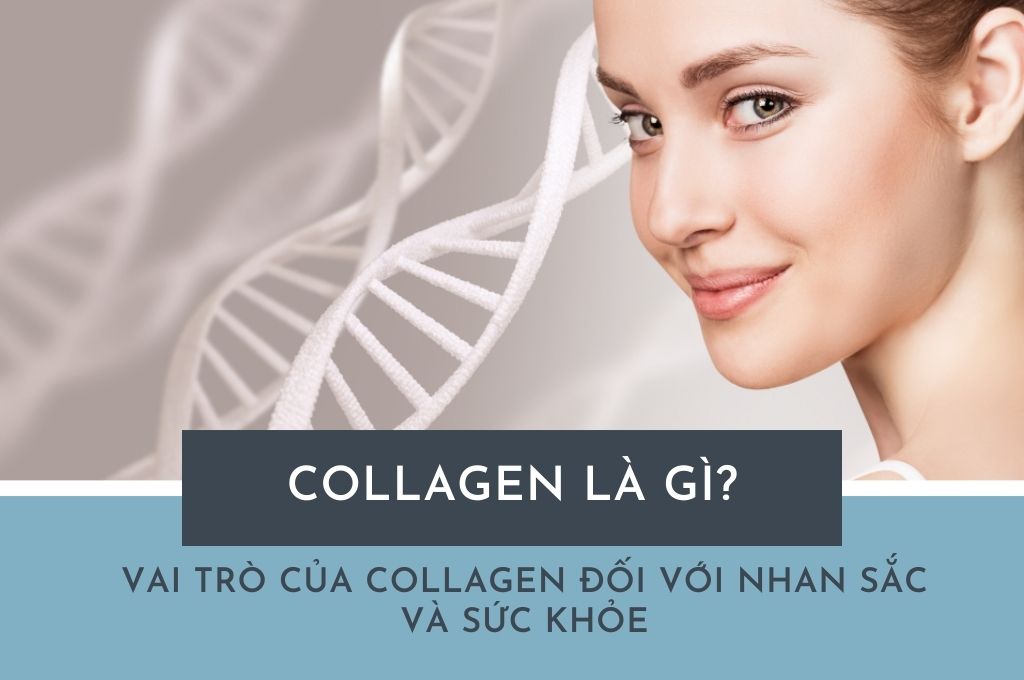 collagen-la-gi-vai-tro-cua-collagen-doi-voi-nhan-sac-va-suc-khoe