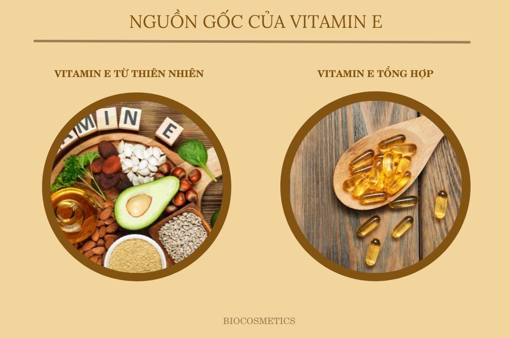 nguon-goc-cua-vitamin-e