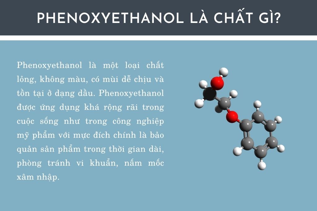 phenoxyethanol-la-chat-gi