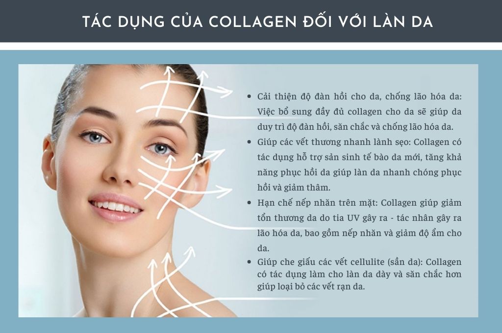 tac-dung-cua-collagen-doi-voi-lan-da