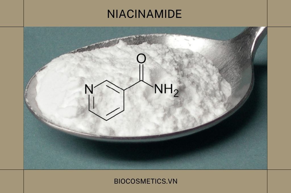 cac-thanh-phan-co-trong-my-pham-niacinamide
