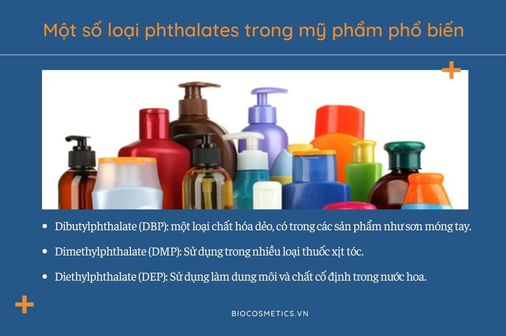 mot-so-loai-phthalates-trong-my-pham-pho-bien