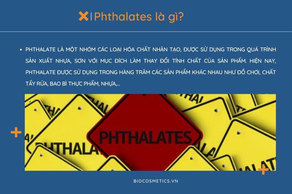 phthalates-la-gi