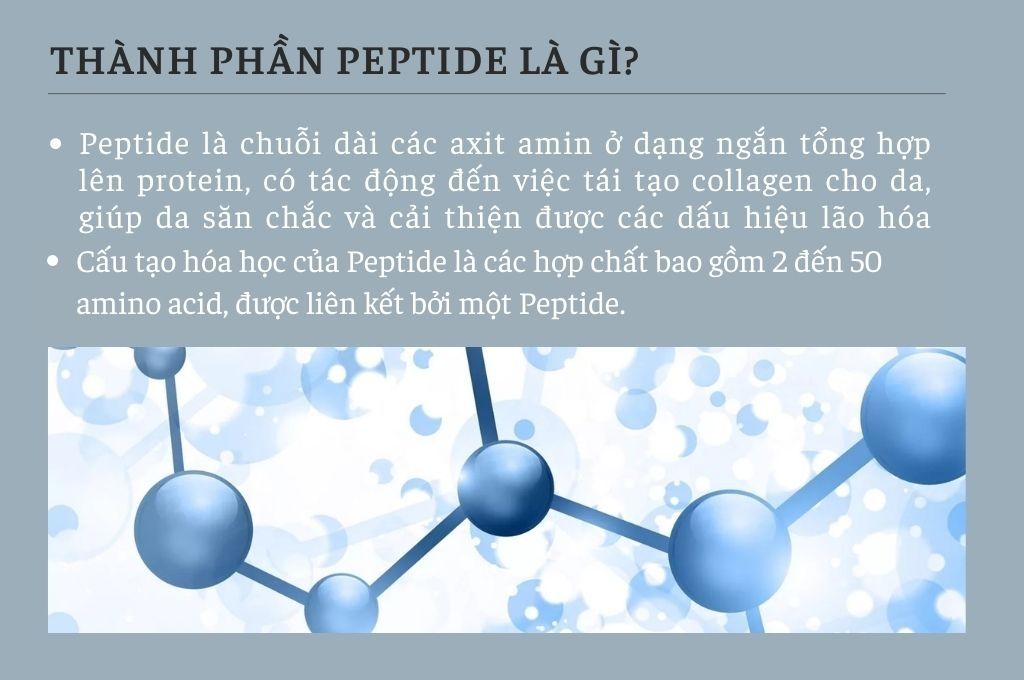 thanh-phan-peptide-la-gi