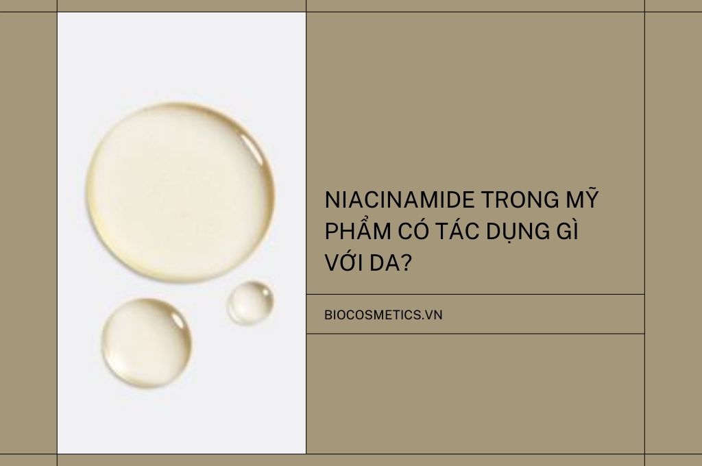 niacinamide-trong-my-pham-co-tac-dung-gi-voi-da
