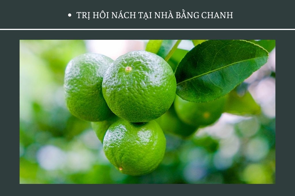 tri-hoi-nach-tai-nha-bang-chanh