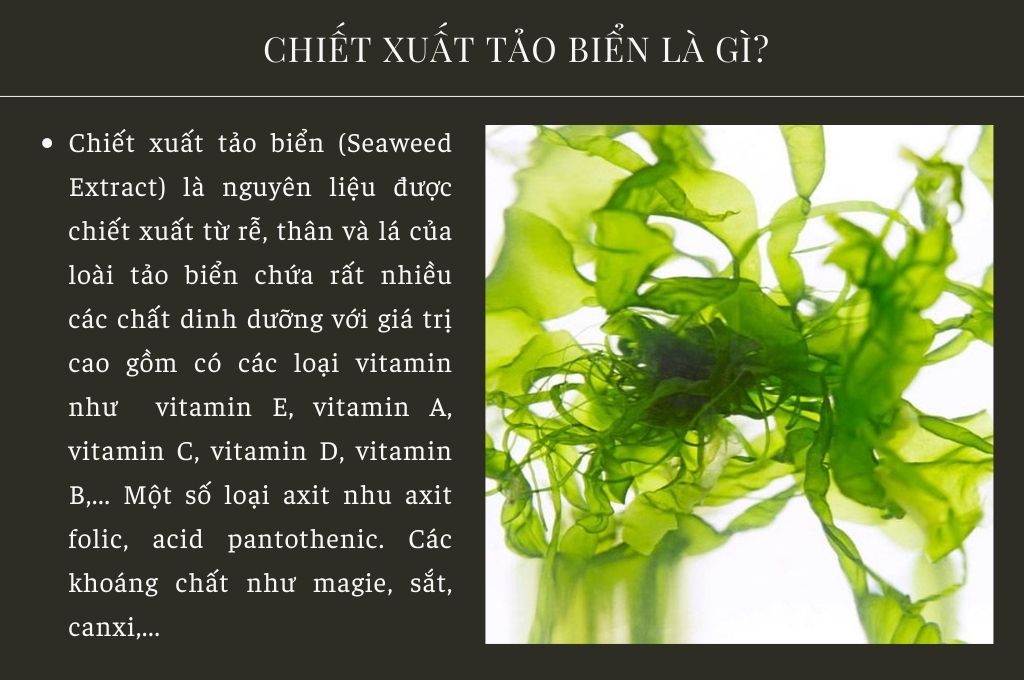 chiet-xuat-tao-bien-la-gi