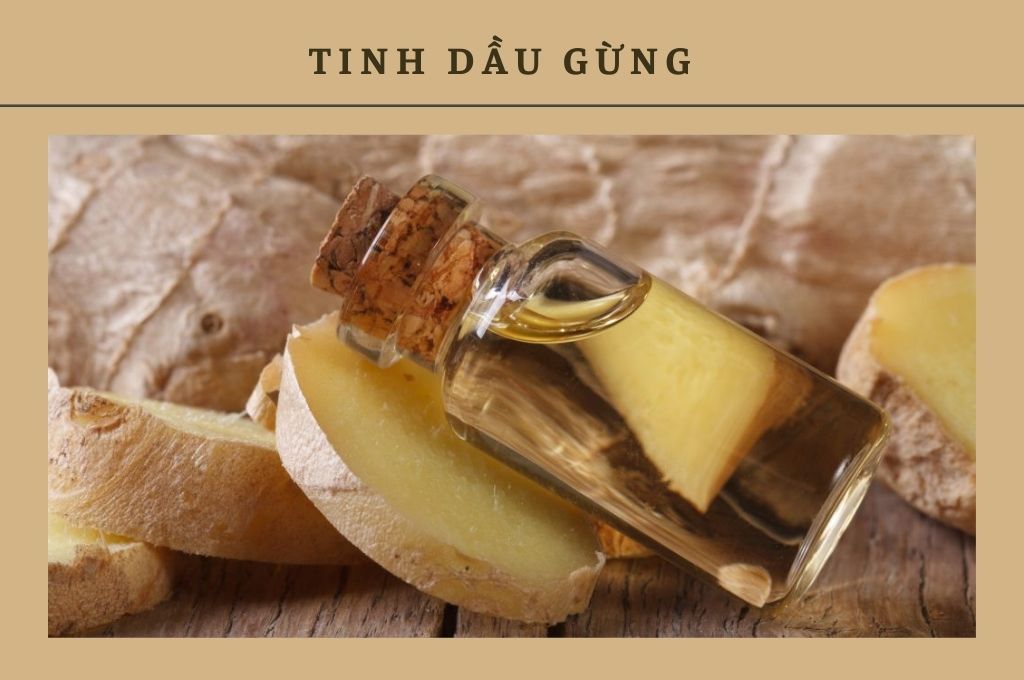 tinh-dau-gung