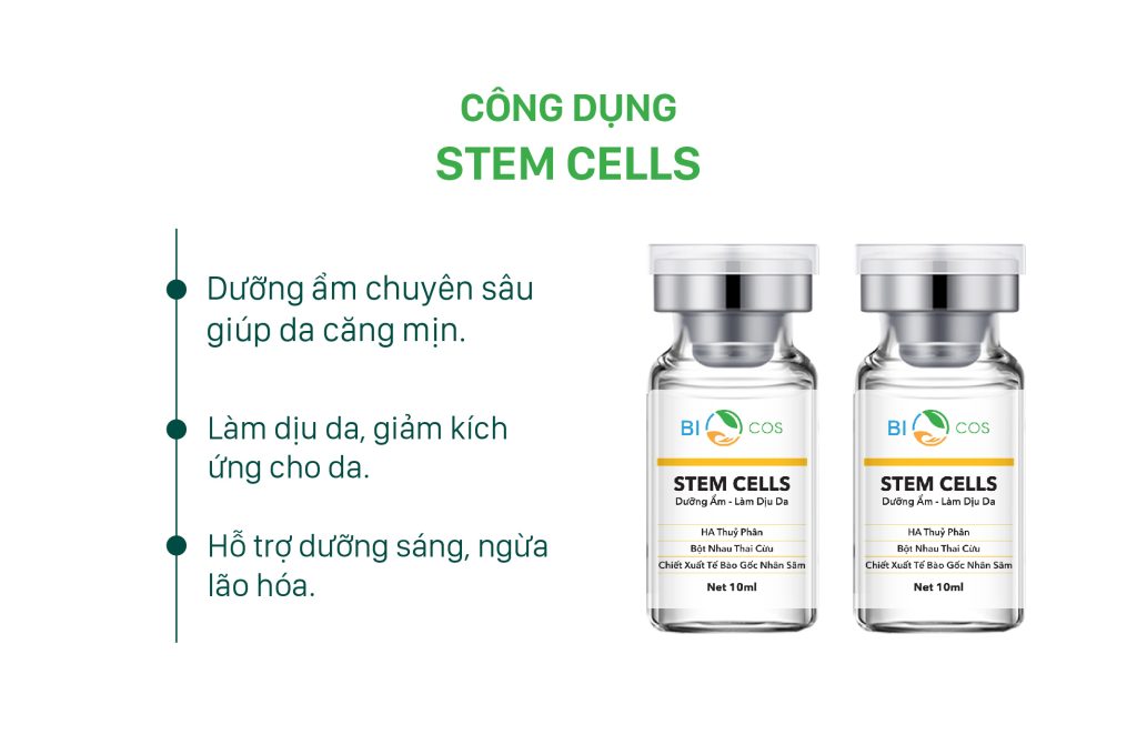 cong-dung-stem-cells