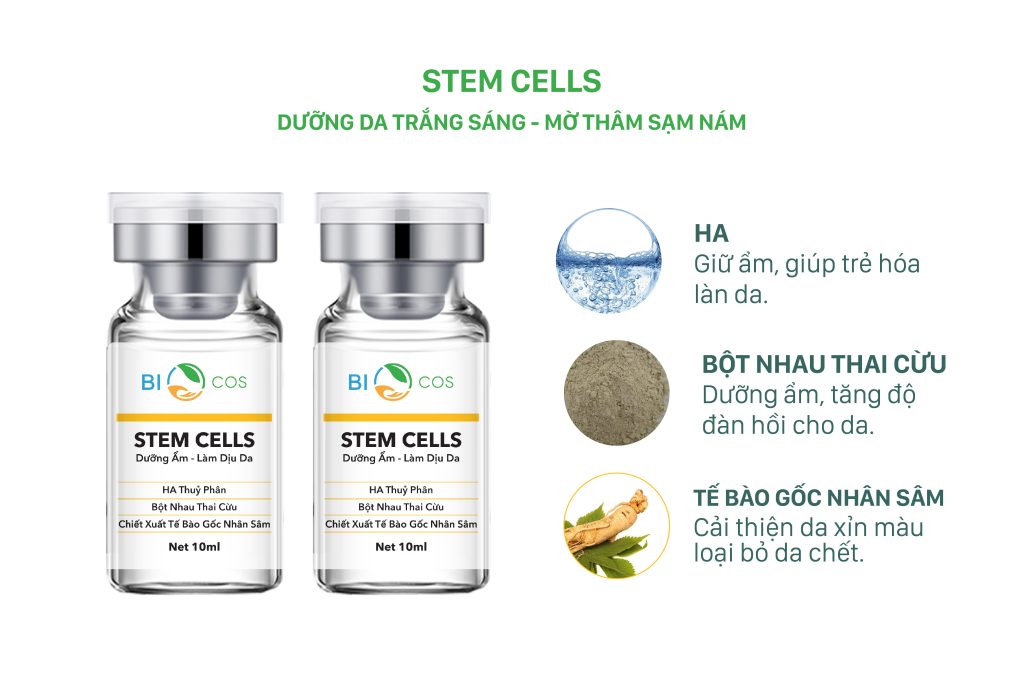 thanh-phan-stem-cell